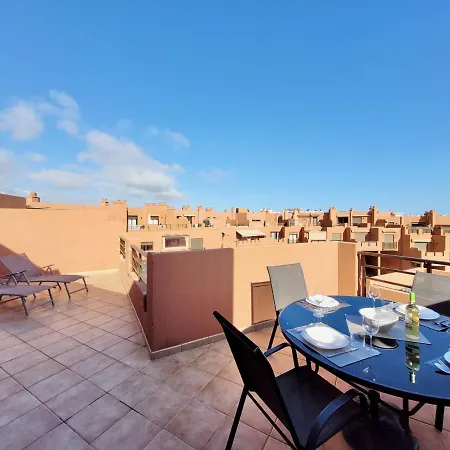 The Sunny Apartment